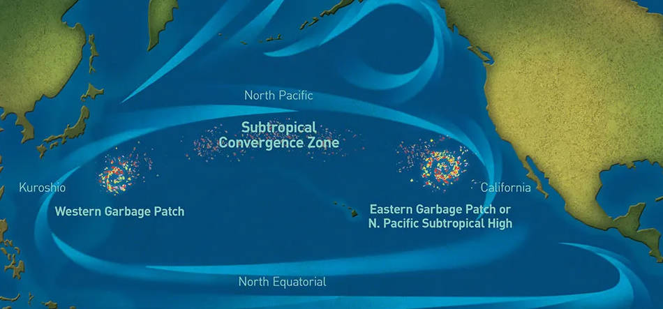 The Harm of Plastic Bottles