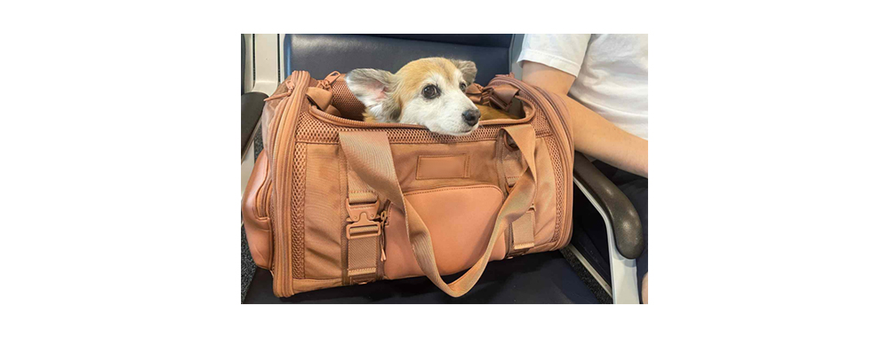 Soft Pet Carrier Bag