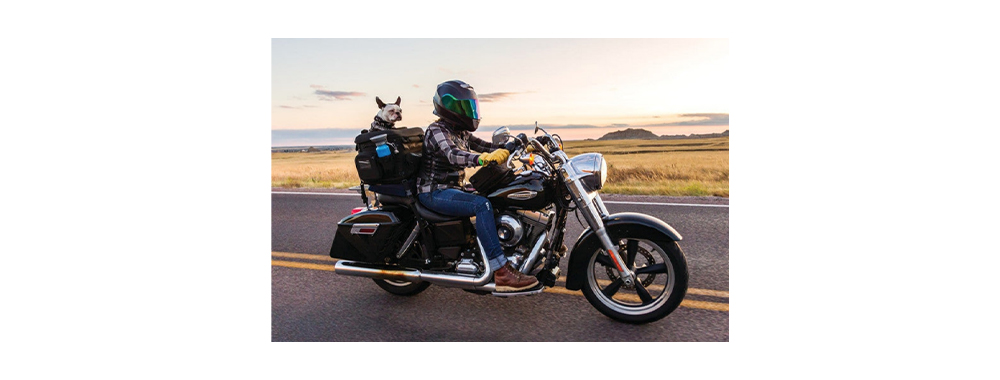 Motorcycling Dog Backpack 
