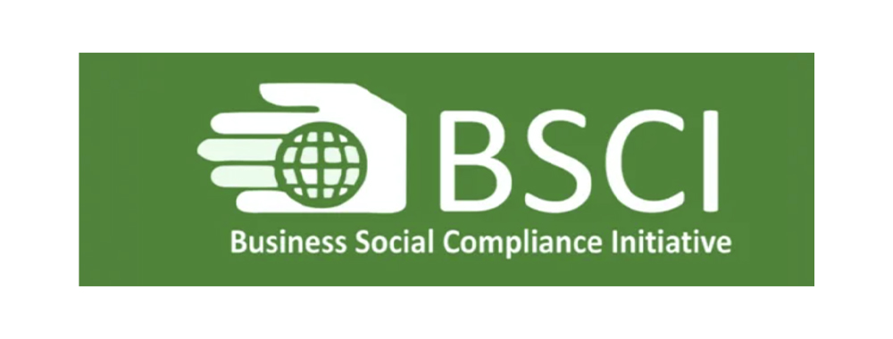 Business Social Compliance Initiative Business Social Compliance Initiative